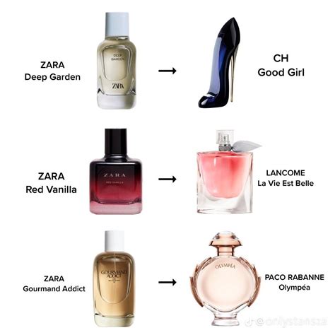 tacchi simil versace zara|8 ZARA Perfume Dupes that Smell *Just* Like Designer Scents.